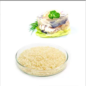 Gelatin Powder Price 250 Bloom Food Grade Halal Gelatine