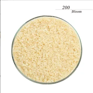 Gelatin Powder Price 250 Bloom Food Grade Halal Gelatine